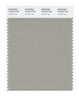 Pantone SMART Color Swatch 16-0207 TCX London Fog