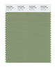 Pantone SMART Color Swatch 16-0224 TCX Green Eyes