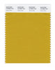 Pantone SMART Color Swatch 16-0953 TCX Tawny Olive