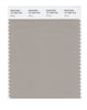 Pantone SMART Color Swatch 16-1305 TCX String