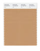 Pantone SMART Color Swatch 16-1333 TCX Doe