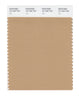 Pantone SMART Color Swatch 16-1334 TCX Tan