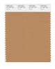 Pantone SMART Color Swatch 16-1336 TCX Biscuit