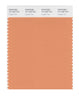 Pantone SMART Color Swatch 16-1338 TCX Copper Tan