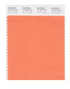 Pantone SMART Color Swatch 16-1357 TCX Bird of Paradise