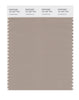 Pantone SMART Color Swatch 16-1407 TCX Cobblestone