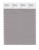 Pantone SMART Color Swatch 16-3802 TCX Ash