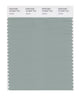 Pantone SMART Color Swatch 16-5304 TCX Jadeite