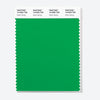 Pantone Polyester Swatch Card 16-6264 TSX Green Spring