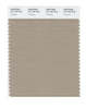 Pantone SMART Color Swatch 16-1104 TCX Crockery