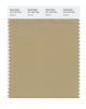 Pantone SMART Color Swatch 16-1120 TCX Starfish