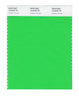 Pantone Nylon Brights Color Swatch 16-6230 TN Andean Toucan