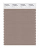 Pantone SMART Color Swatch 17-1009 TCX Dune