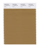 Pantone SMART Color Swatch 17-1036 TCX Bistre