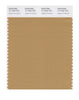 Pantone SMART Color Swatch 17-1045 TCX Apple Cinnamon