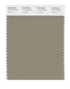 Pantone SMART Color Swatch 17-1113 TCX Coriander