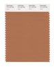 Pantone SMART Color Swatch 17-1143 TCX Hazel