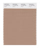 Pantone SMART Color Swatch 17-1223 TCX Praline