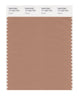 Pantone SMART Color Swatch 17-1224 TCX Camel