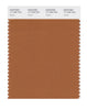 Pantone SMART Color Swatch 17-1340 TCX Adobe