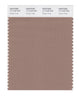 Pantone SMART Color Swatch 17-1418 TCX Ginger Snap