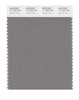 Pantone SMART Color Swatch 17-1500 TCX Steeple Gray