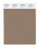 Pantone SMART Color Swatch 17-1038 TCX Tiger's Eye