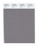 Pantone SMART Color Swatch 17-4014 TCX Titanium