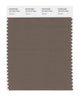 Pantone SMART Color Swatch 18-1015 TCX Shitake