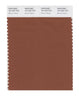 Pantone SMART Color Swatch 18-1242 TCX Brown Patina