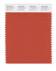 Pantone SMART Color Swatch 18-1354 TCX Burnt Ochre