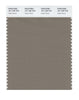 Pantone SMART Color Swatch 18-1108 TCX Fallen Rock