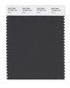 Pantone SMART Color Swatch 19-0000 TCX Raven