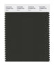 Pantone SMART Color Swatch 19-0509 TCX Rosin