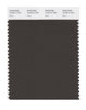 Pantone SMART Color Swatch 19-0614 TCX Wren