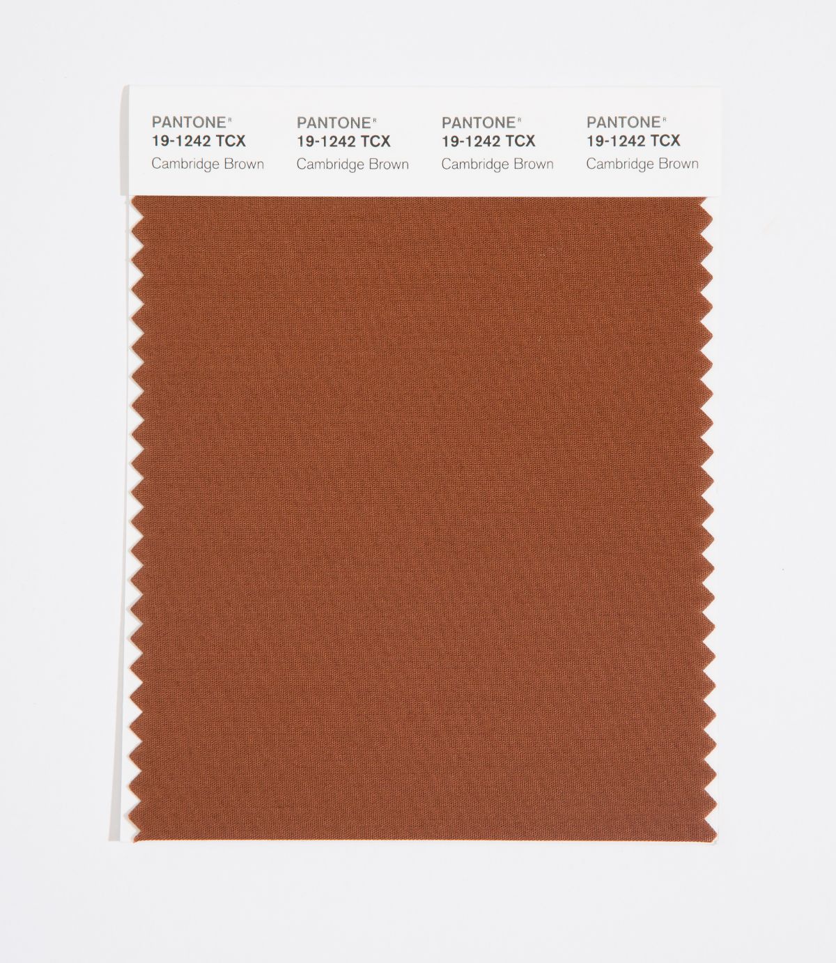 pantone swatch