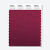 Pantone Polyester Swatch Card 19-2223 TSX Plummed Depths 