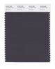 Pantone SMART Color Swatch 19-3908 TCX Nine Iron