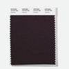 Pantone Polyester Swatch Card 19-4107 TSX Cavernous