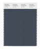 Pantone SMART Color Swatch 19-4220 TCX Dark Slate