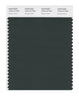 Pantone SMART Color Swatch 19-6110 TCX Deep Forest