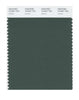 Pantone SMART Color Swatch 19-5621 TCX Cilantro