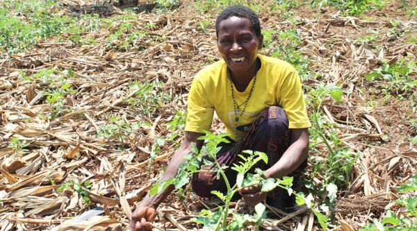 Uganda Agriculture Project in Uganda. Woman with her crops.