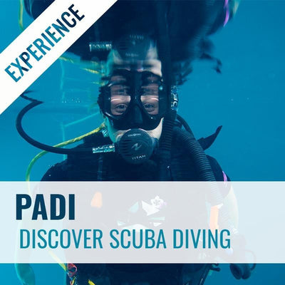 Padi Discover Scuba Experience Have A Go At Scuba Diving Dive Otago