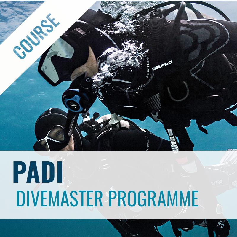 Padi Divemaster Course Padi Gopro Dunedin New Zealand Dive Otago