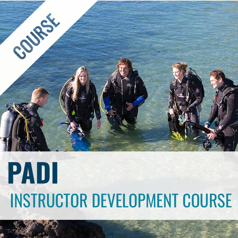 PADI Instructor Development Course PADI IDC New Zealand Dive Otago