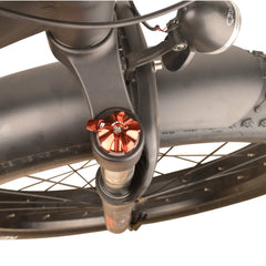 DJ Mid Drive Fat Bike, fat tire mid electric bike with preload adjustment suspension fork