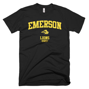 emerson college hoodie