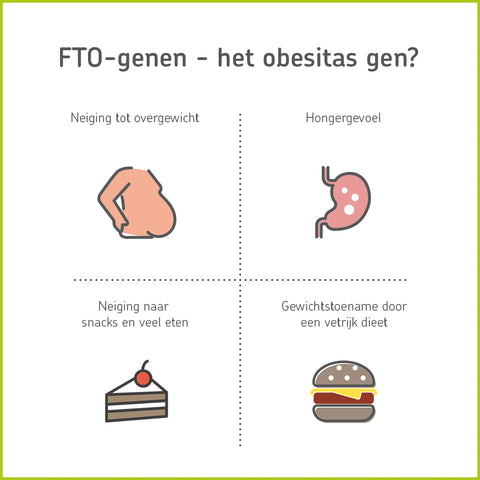 FTO Obesitas Gen