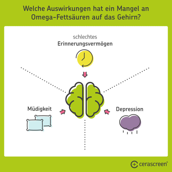 Omega 3 Und Omega 6 Fettsauren Cerascreen